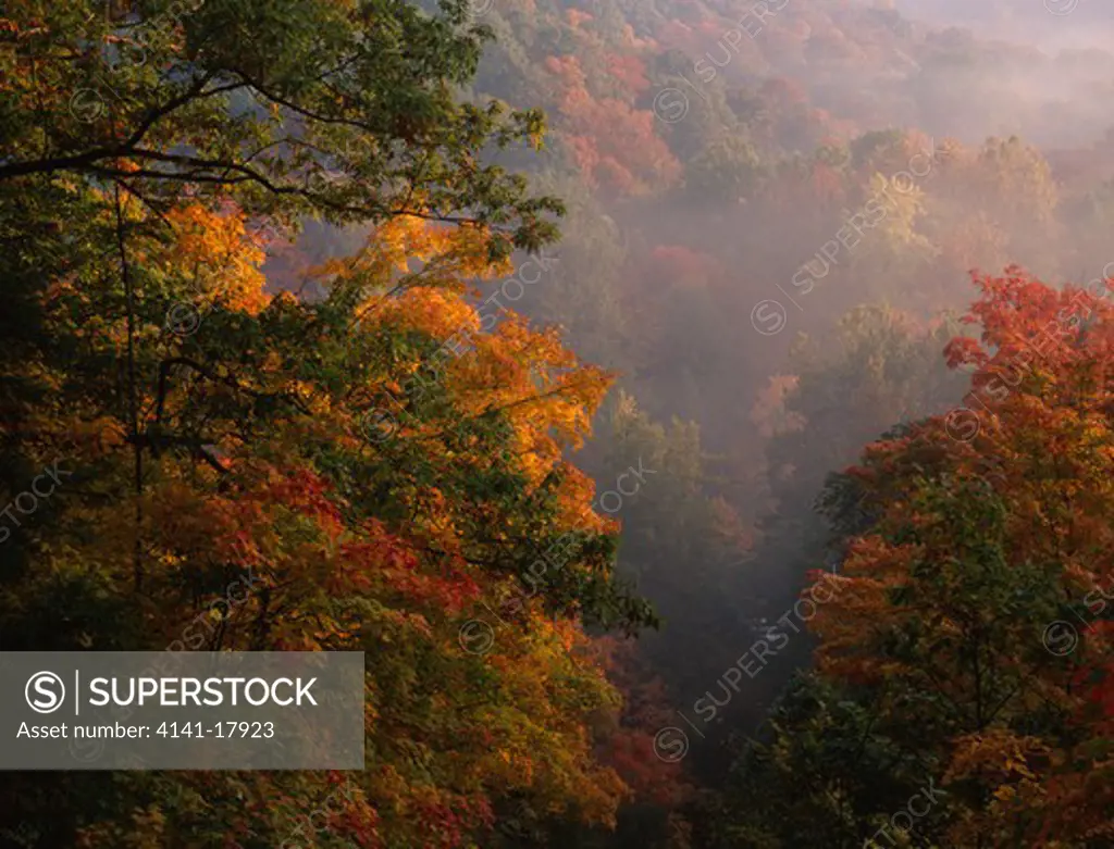 tinkers creek gorge overlook woodland with trees in autumn colours cuyahoga valley national recreation area, ohio, northern usa