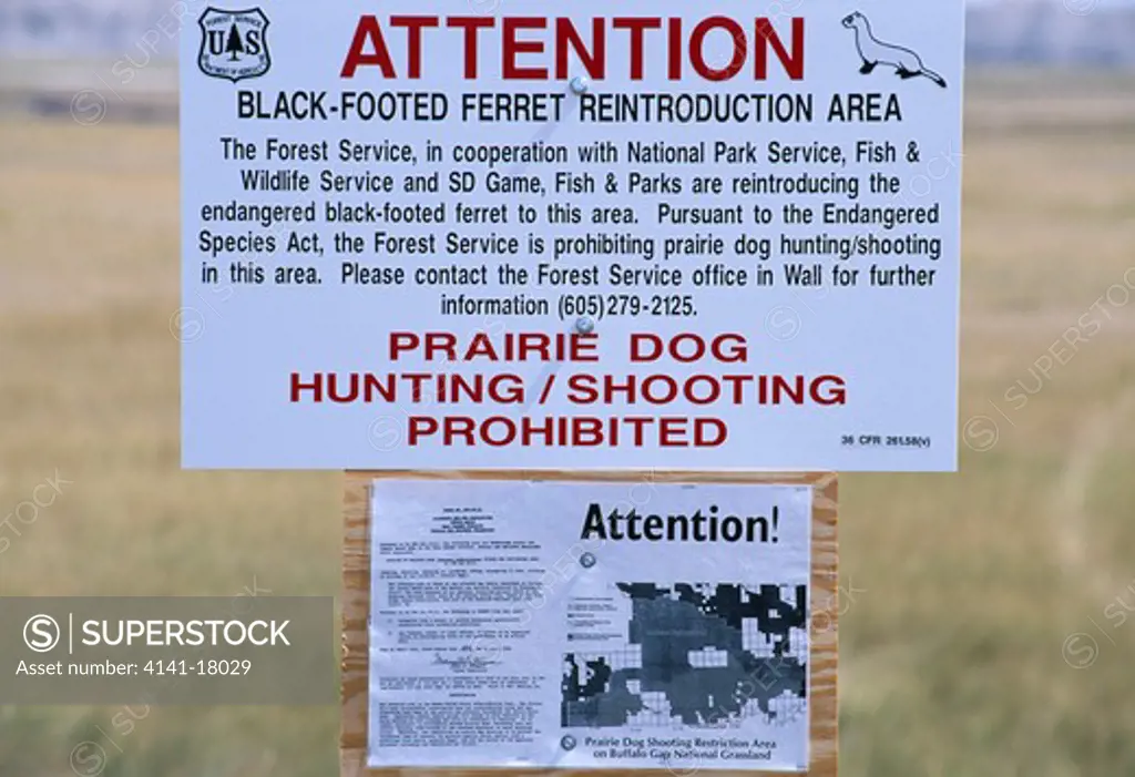 sign prohibiting prairie dog shooting because of reintroduction of black-footed ferrets buffalo gap national grassland, south dakota, usa september 1998