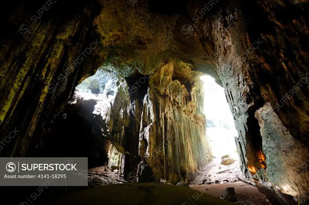 gomantong cave sabah, borneo, malaysia