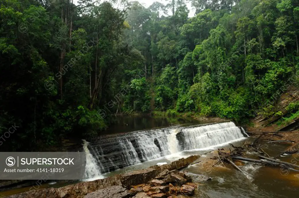 imbak waterfall sabah, borneo, malaysia.