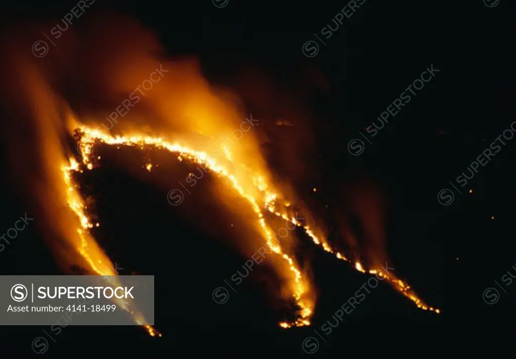bush fire at night serengeti national park, tanzania