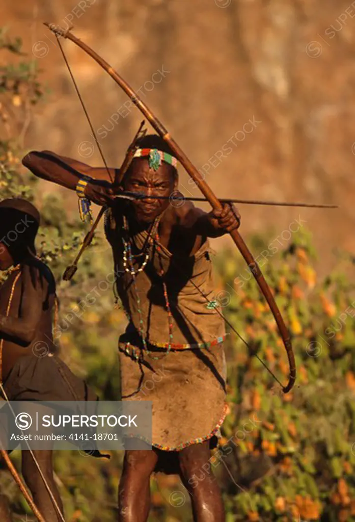 hadzabe hunter ready to strike tanzania, eastern africa