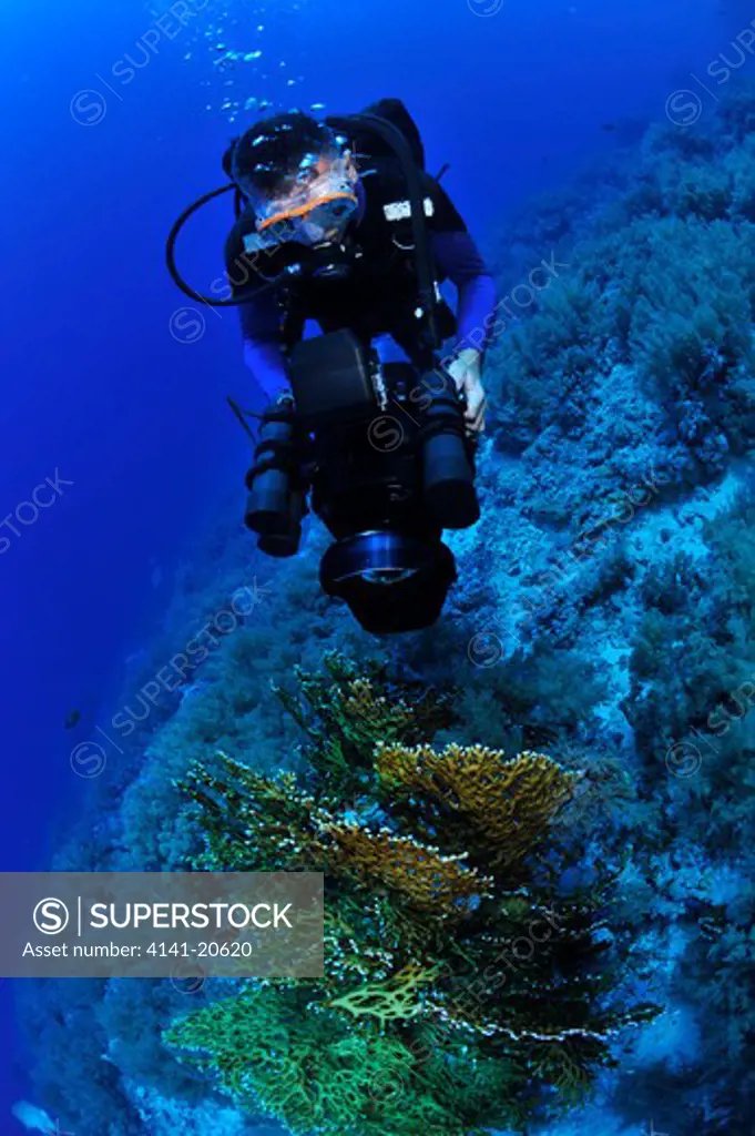 filming in the red sea