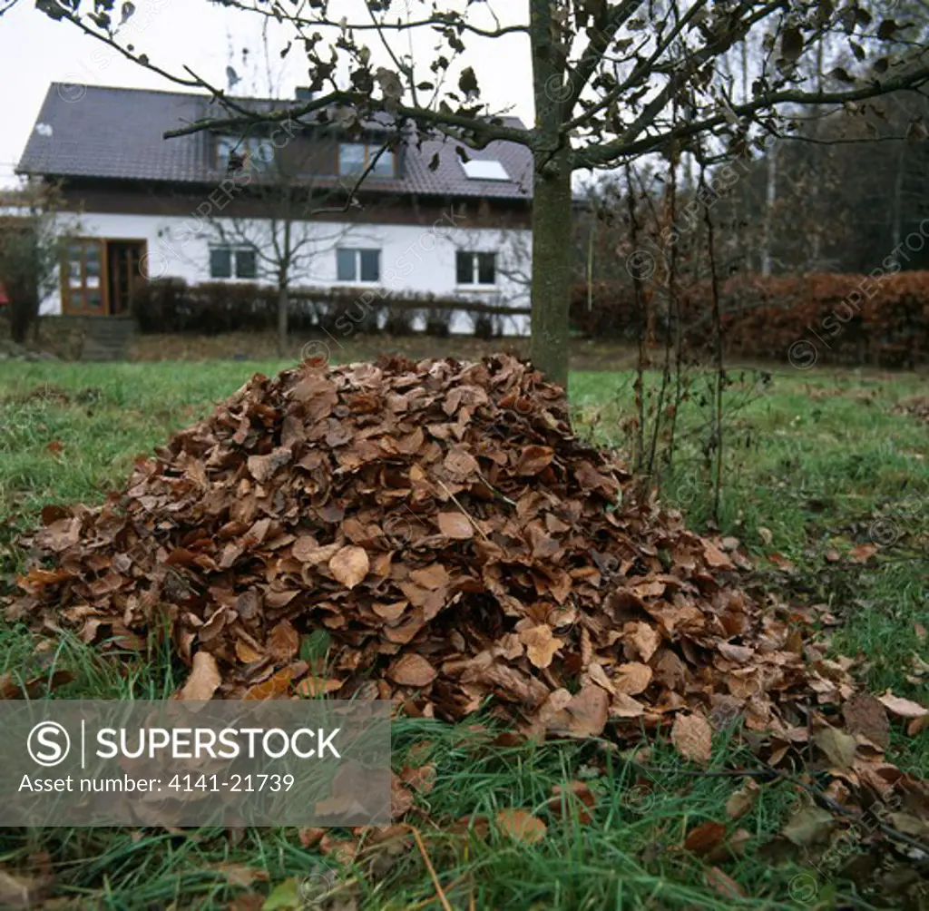 pile of dead leaves composting in garden