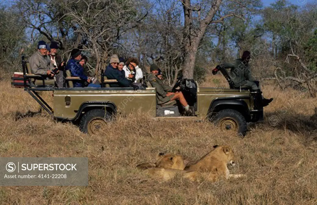 tourists on game viewing safari, sabi sabi reserve, greater kruger national park, south africa