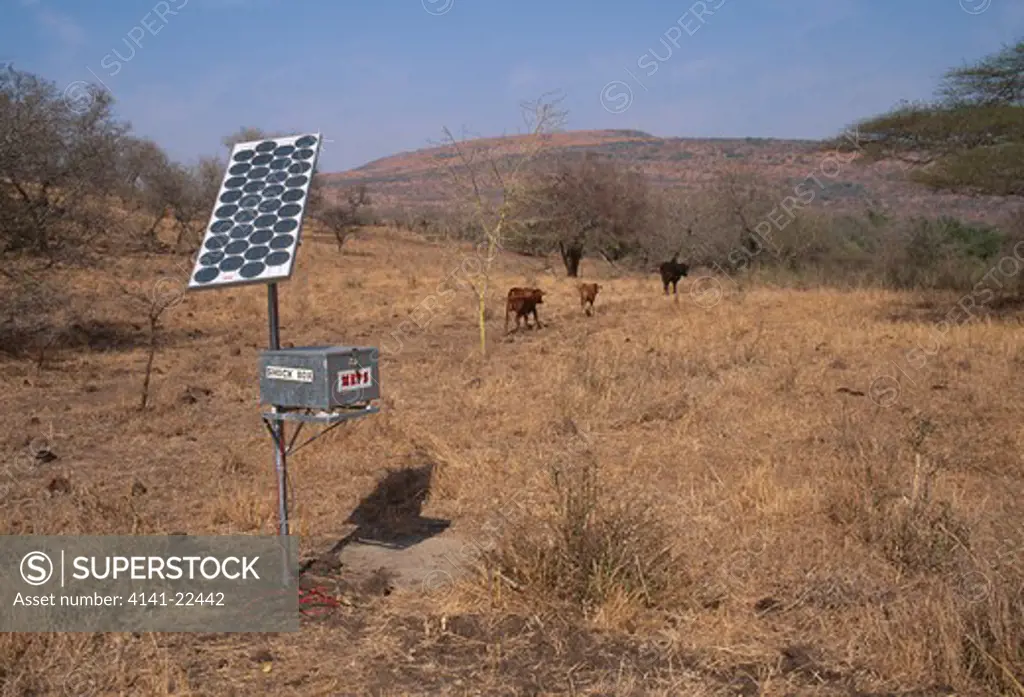 solar-powered electric fence to confine cattle kwazulu-natal, south africa 