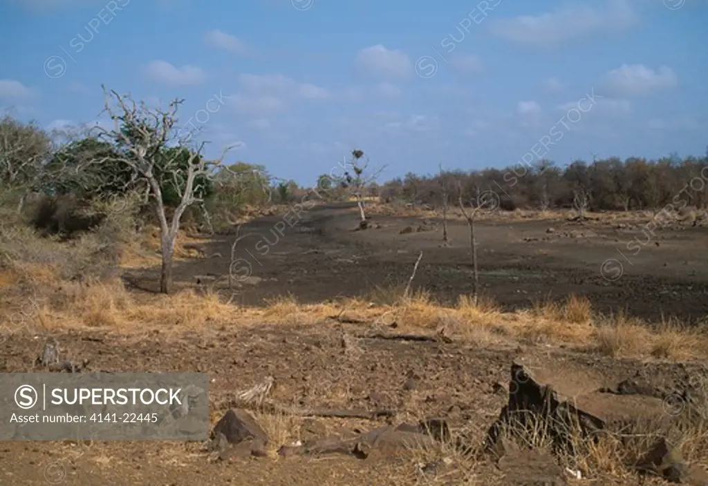 dry river bed during drought 1992 kruger national park, south africa