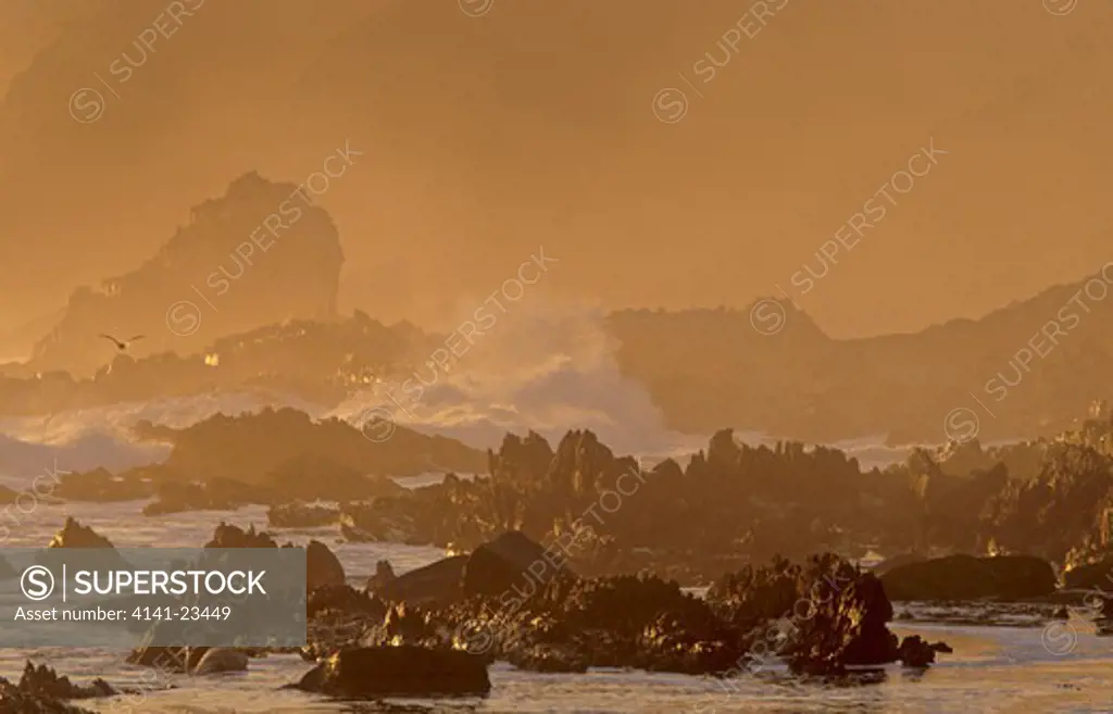seascape at dusk tsitsikamma, national park, western cape, south africa
