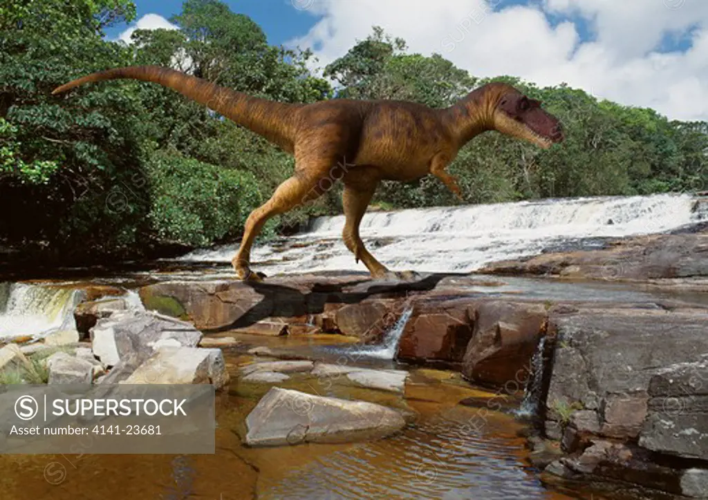 albertosaurus digital composite of a sub-adult albertosaurus sarcophagus, a large meat-eating theropod from the late cretaceous period, crossing a rocky stream in what is today the state of alberta in canada.