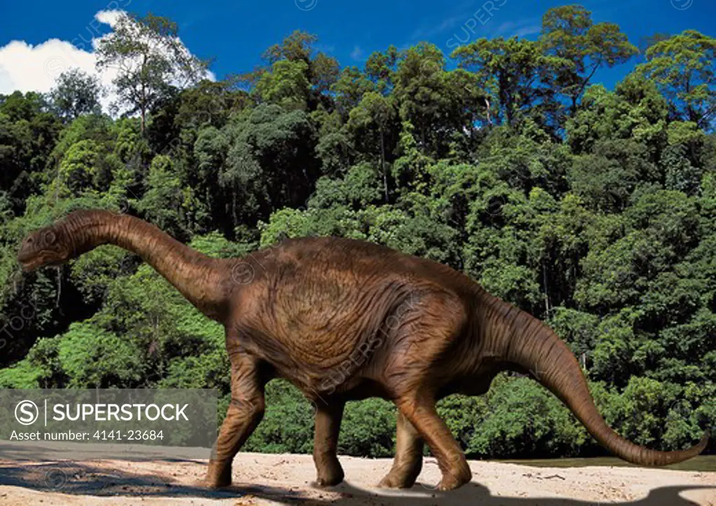 camarasaurus supremus digital composite of an adult camarasaurus supremus - a giant plant-eating sauropod from the late jurassic period -ambling on a river bank in what is today the state of colorado in north america.