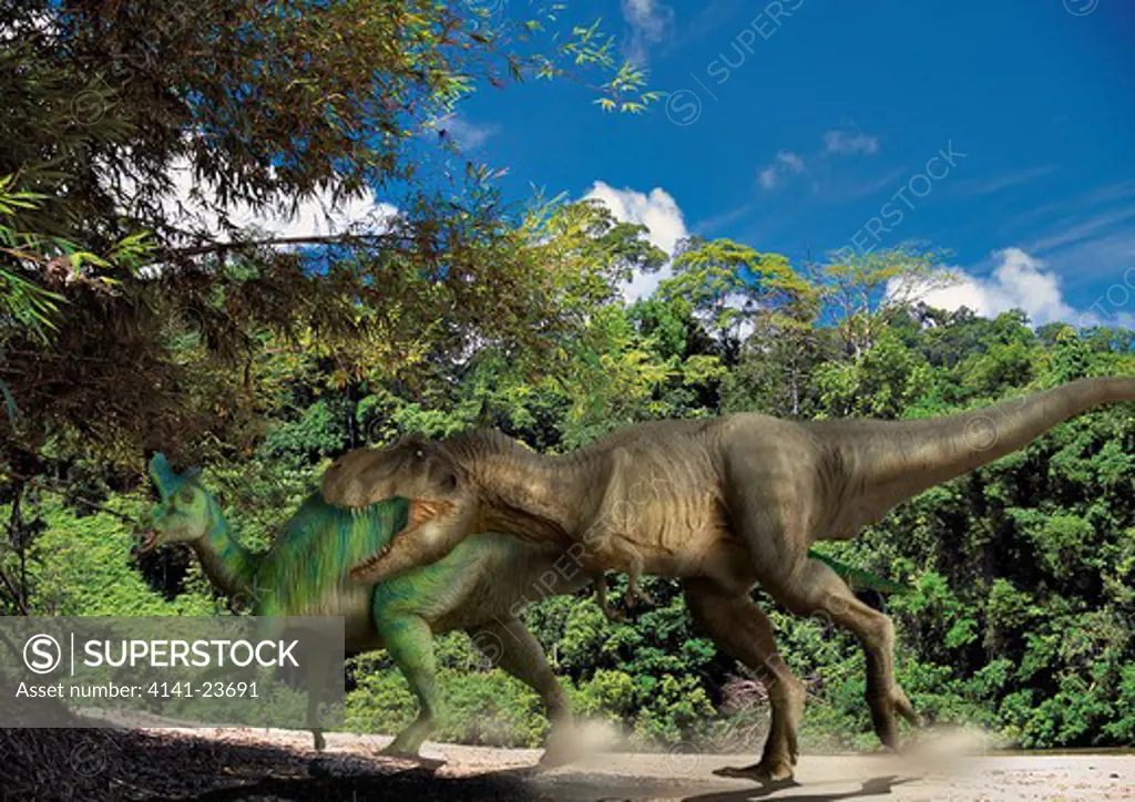 tyrannosaurus & lambeosaurus digital composite of an adult tyrannosaurus rex, a 12.5 meter-long carnivorous theropod dinosaur from the late cretaceous period, attacking a male adult lambeosaurus lambei, a plant-eating duck-billed hadrosaur, in what is 