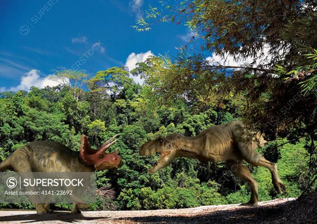 tyrannosaurus & triceratops digital composite of an adult tyrannosaurus rex, a 12.5 meter-long carnivorous theropod dinosaur from the late cretaceous period, attacking an adult male triceratops horridus, a large three-horned ceratopsian dinosaur from t