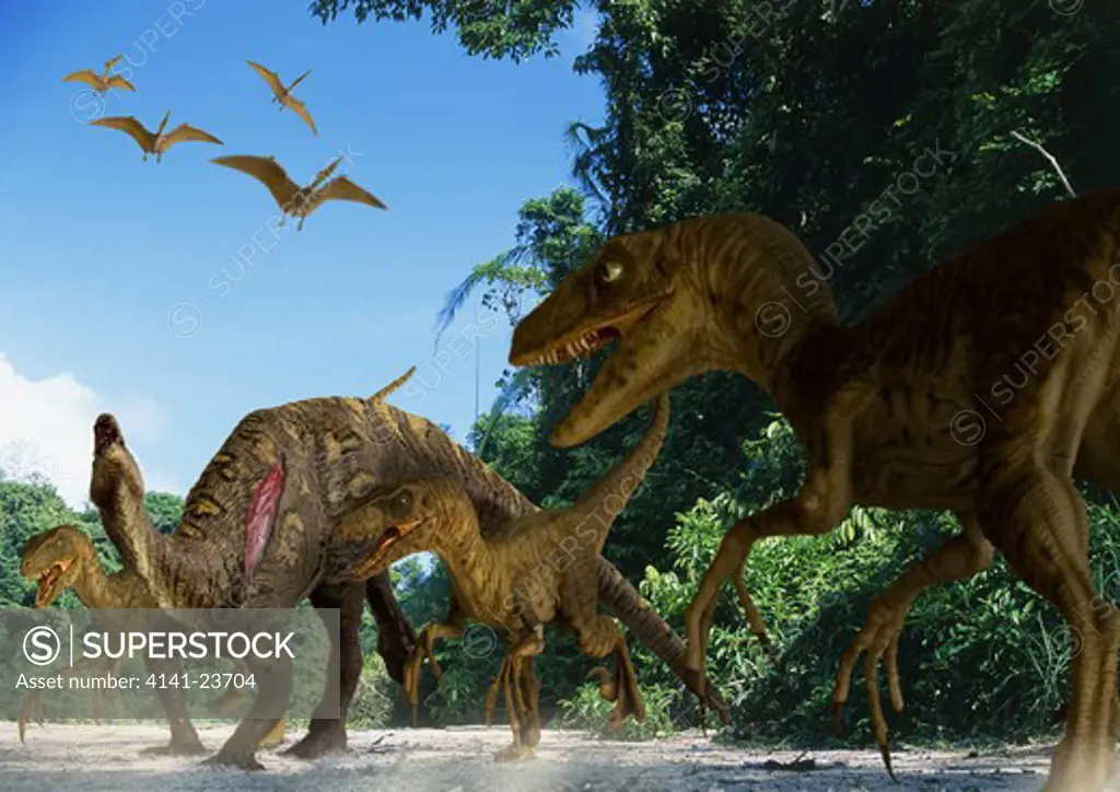 utahraptor ostrommaysi pack a carnivorous dromaeosaurid dinosaur from the mid-cretaceous period, attacking a young tenontosaurus in what is today utah in the usa.