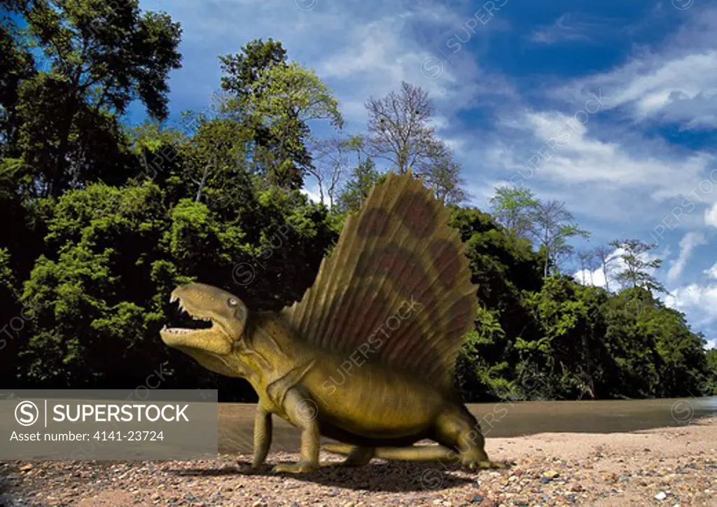 digital composite of dimetrodon angelensis, a sail-fin mammal-like pelycosaur from the permian period from what is today north america.