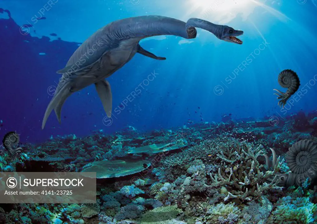 digital composite of a large elasmosaurus, a 14 meter-long plesiosaur (not a dinosaur) from the late cretaceous hunting its cephalopod prey on a shallow coastal reef in what is today the state of wyoming in the usa.