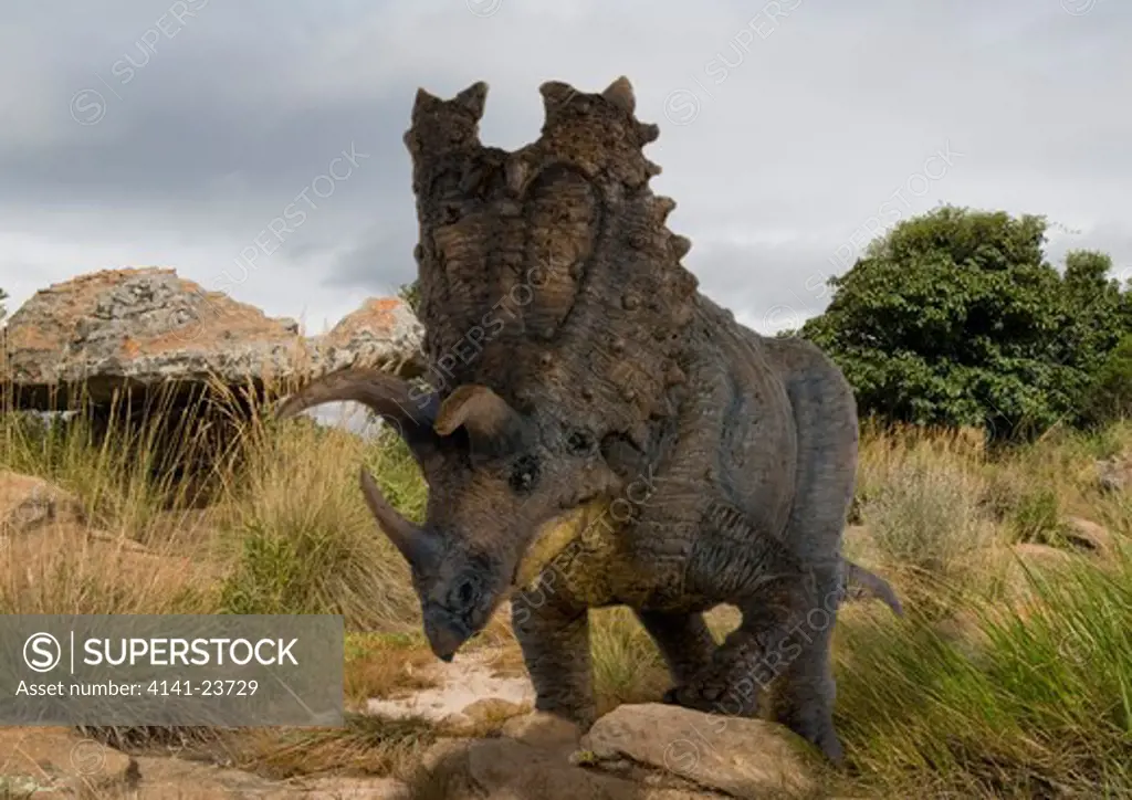 digital composite of pentaceratops sternbergii, a plant-eating ceratopsid dinosaur from the late cretaceous period from what is today new mexico in the usa.