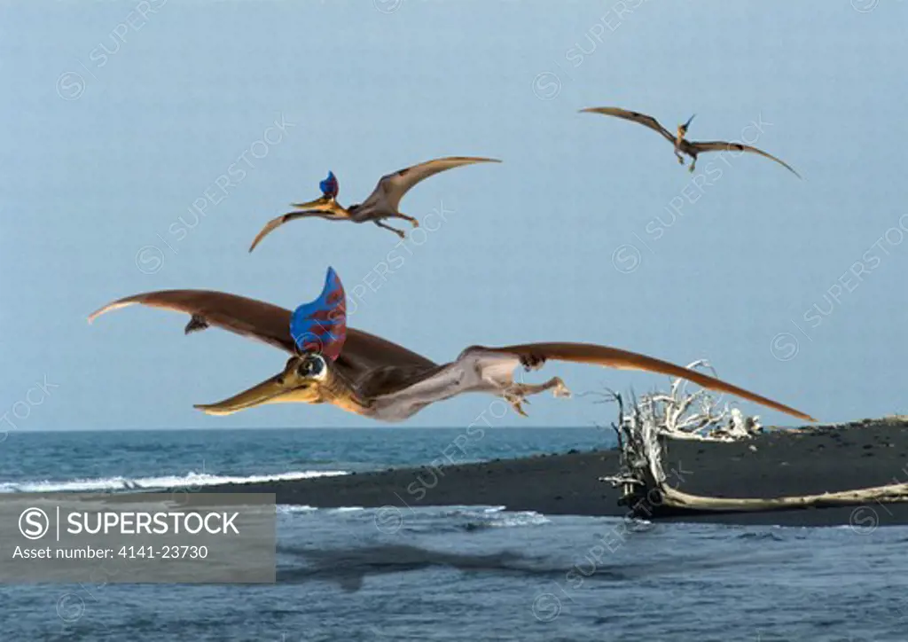 digital composite of pteranodon sternbergi, a fish-eating pterosaur from the late cretaceous period from what is today kansas in the usa.