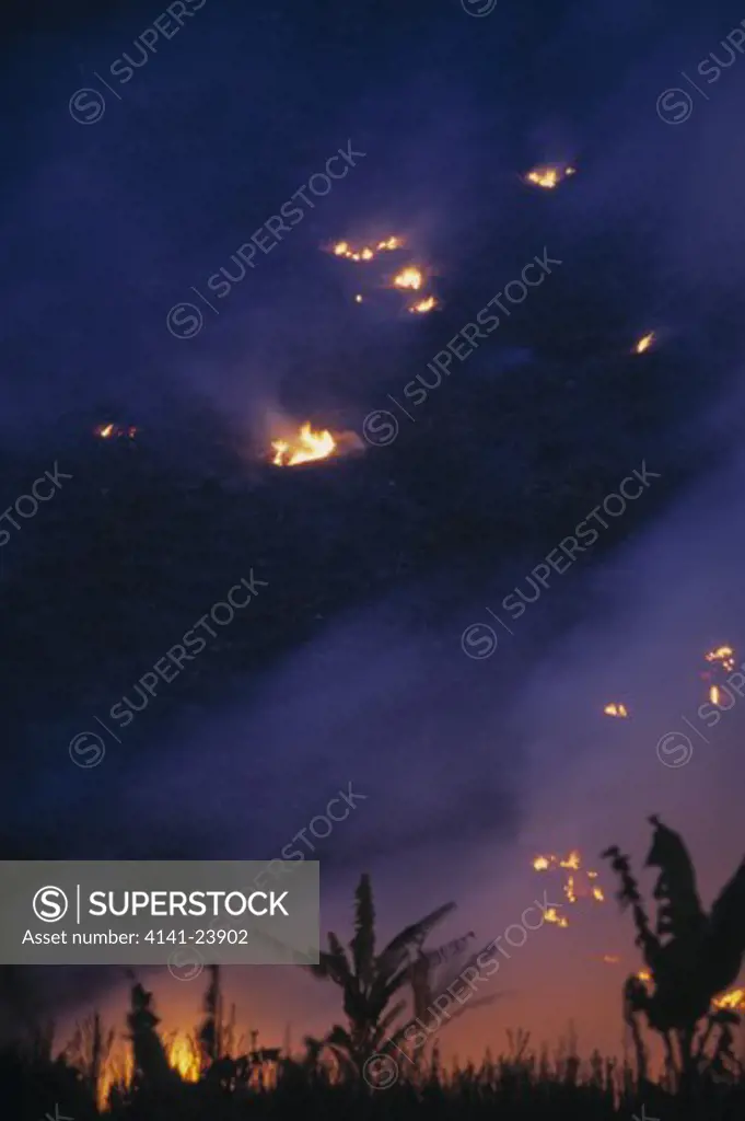 slash & burn of rainforest clearing for agriculture madagascar.