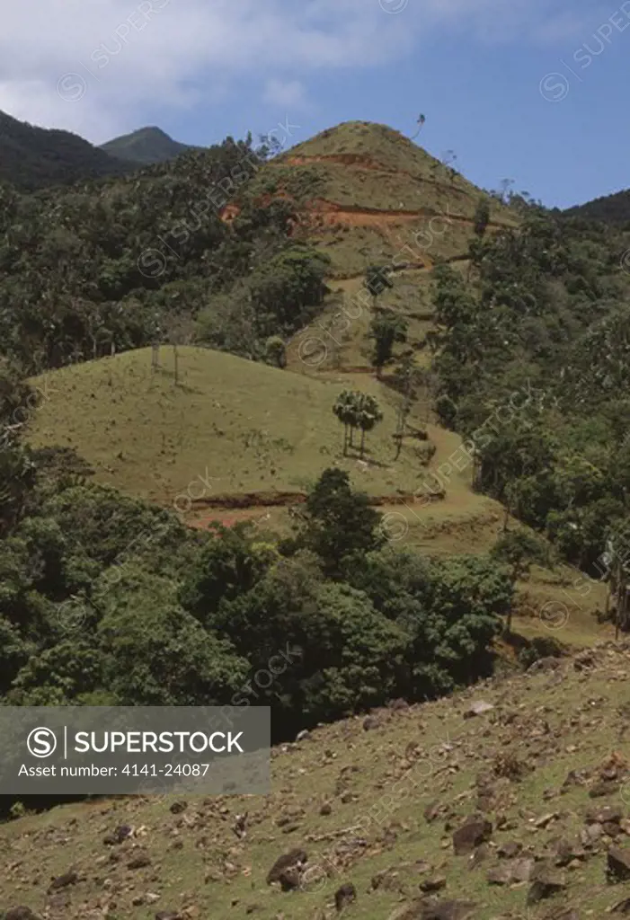 slope clearance in forest with resultant erosion bambous mountains mauritius