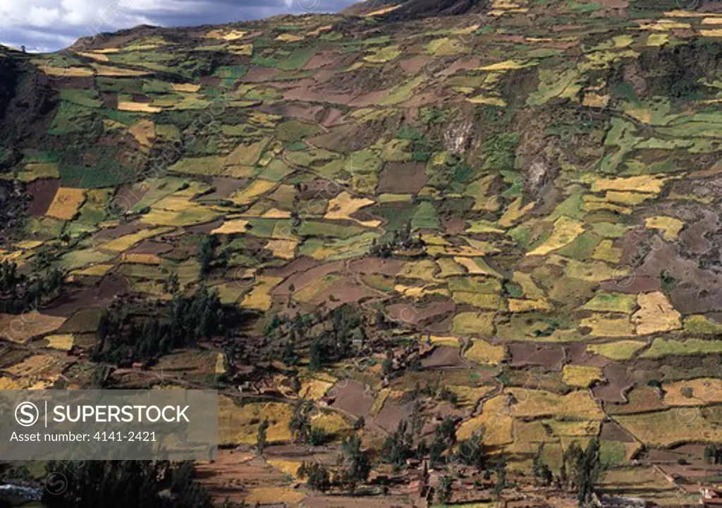 patchwork of fields on highland farms, near chavin, cordillera blanca, andes, peru