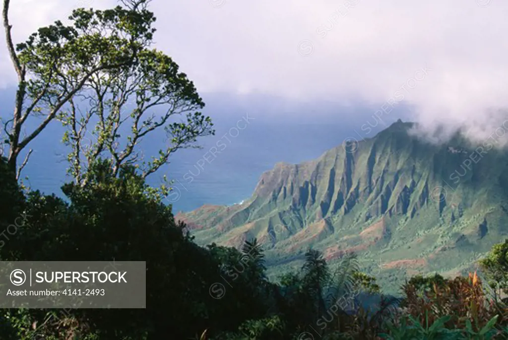 fluted cliffs of kalalau valley on na pali coast, kokee state park, kauai, hawaii, usa 