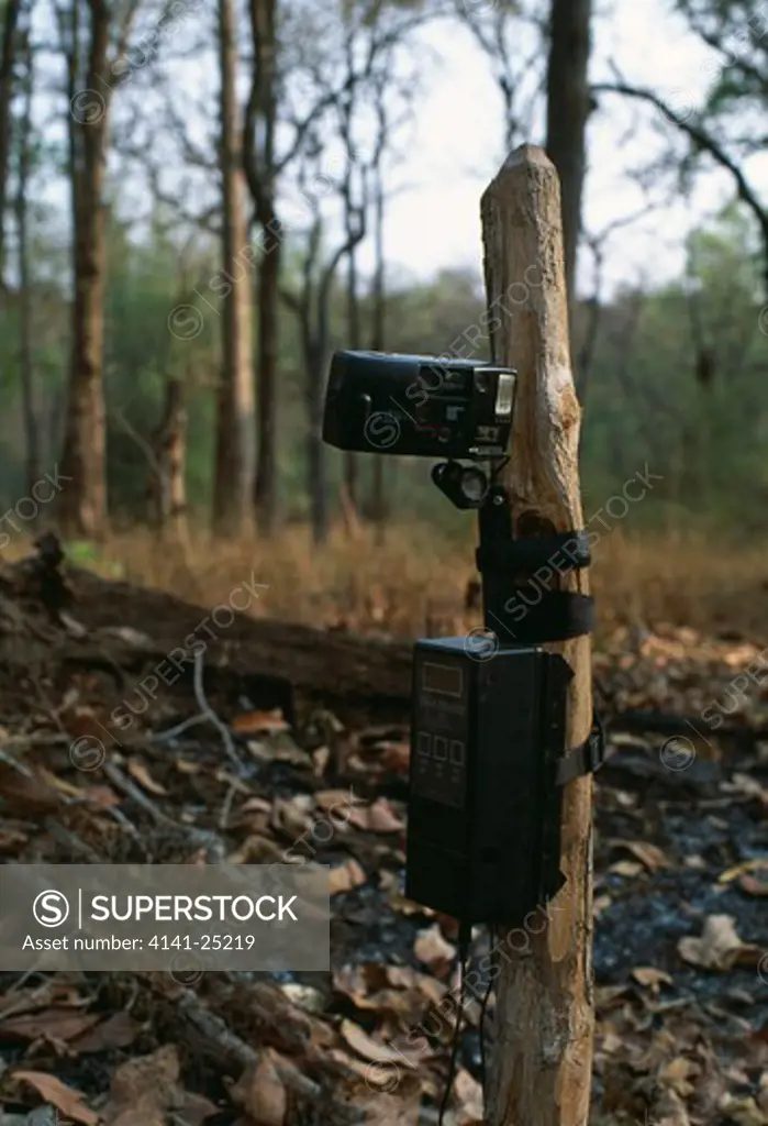 remote-control camera for photographing wildlife. nagarhole national park, karnataka, southern india. 