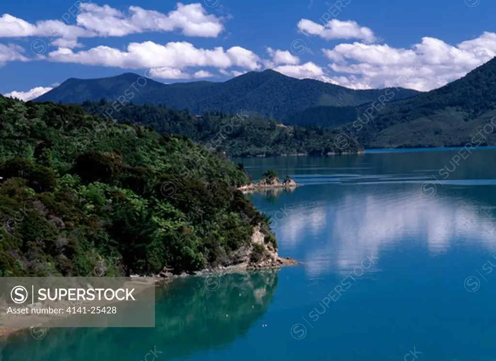 queen charlotte sound with heavily wooded shores, south island, new zealand. 