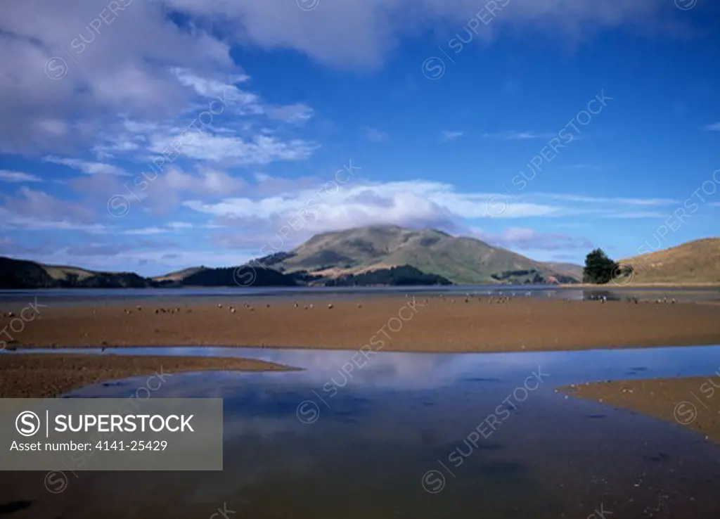 otago peninsula with birds view across the sands of hooper's inlet to mount charles, south island, new zealand. 
