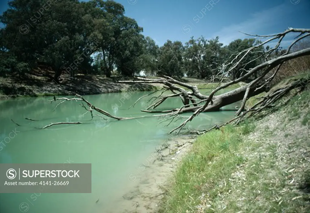 blue-green algae darling river, nr wilcunnia, new south wales, australia.