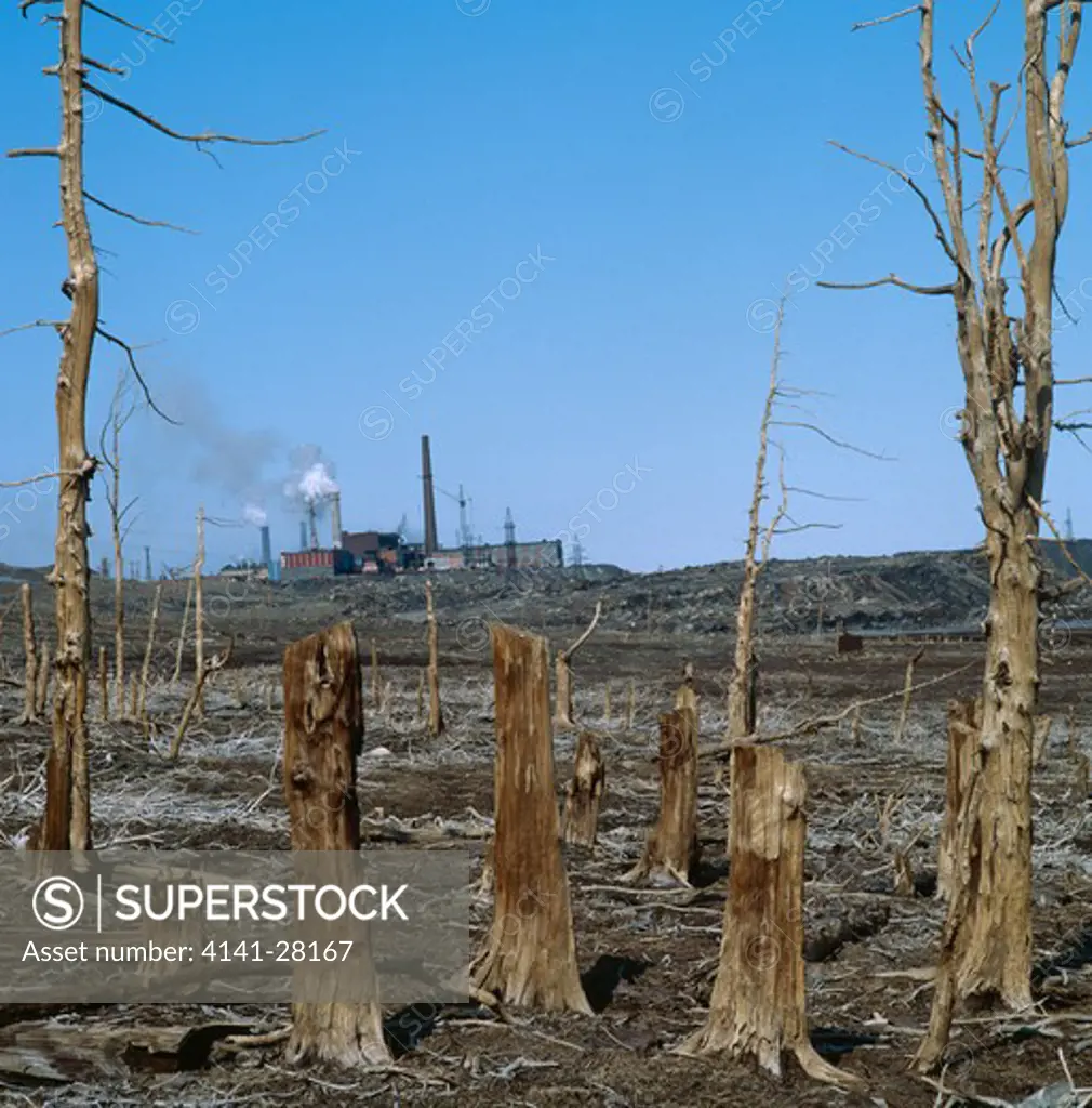 forest killed by acid rain industry in background norilsk, siberia, russia 