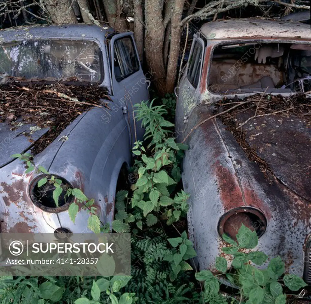 decaying cars gradually being reclaimed by nature.