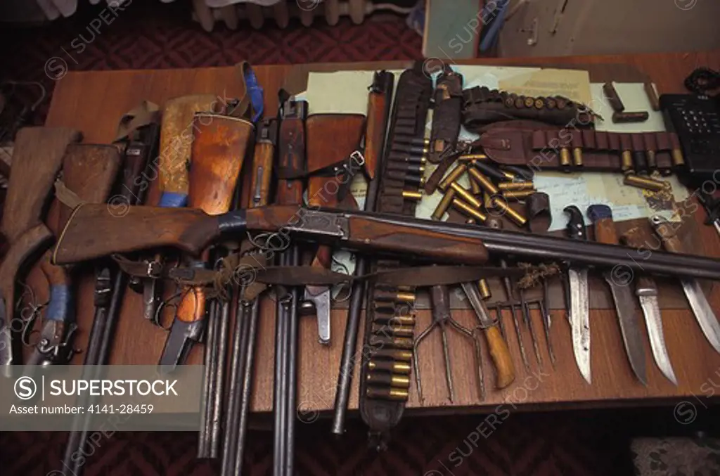 poacher's weapons seized by inspection tiger anti-poaching patrols, russian far east.