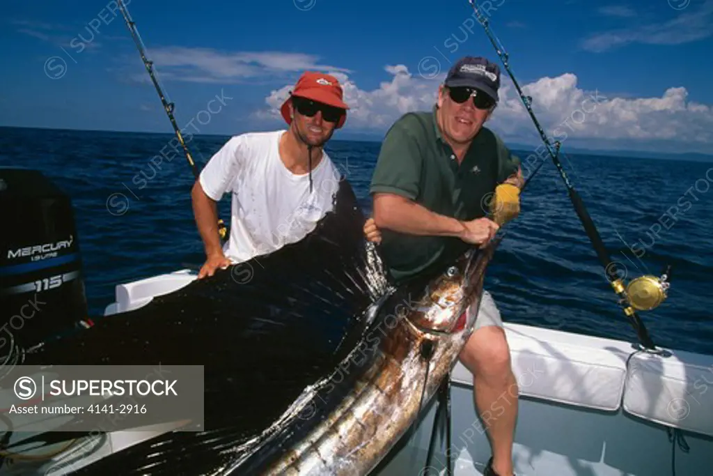 two men with caught sailfish in boat from puerto jimenez, golfo dulce, osa peninsula, costa rica sailfish is istiophorus platypterus