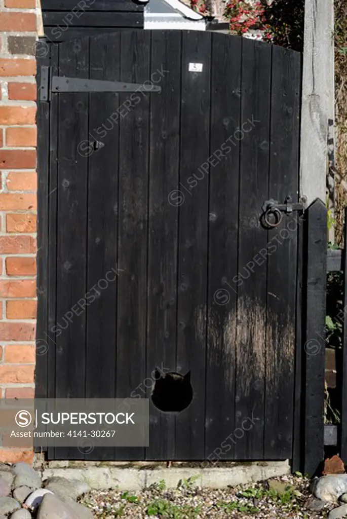 cat hole in gate, wivenhoe essex, uk