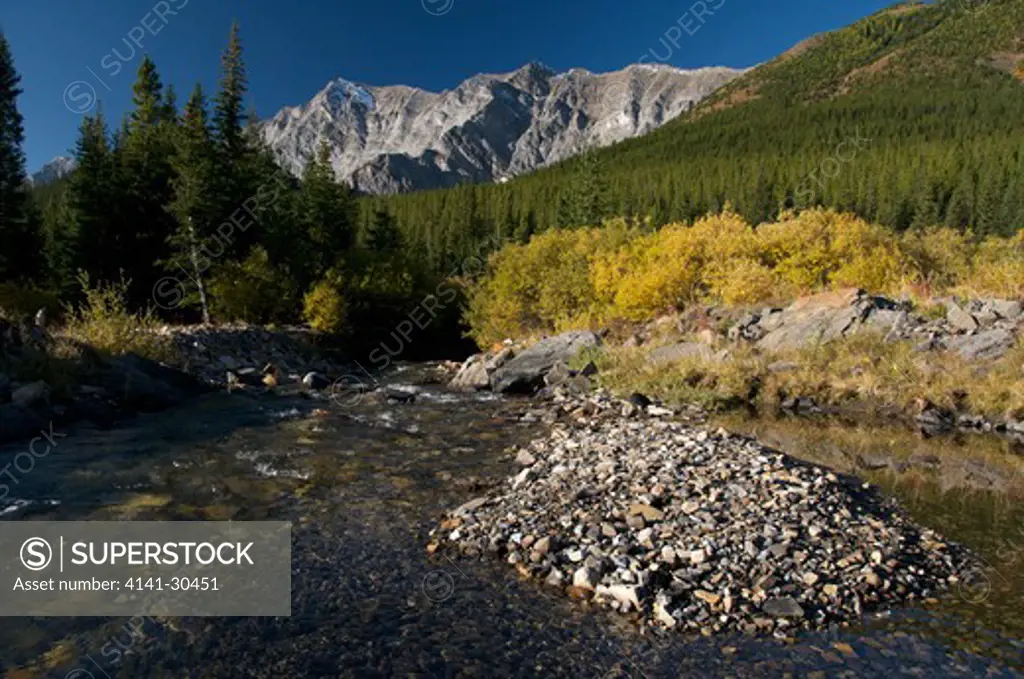 scenic of storm creek and autumn willows with rocky mountains in background. kananaskis country provincial area sw of calgary, alberta, canada. 