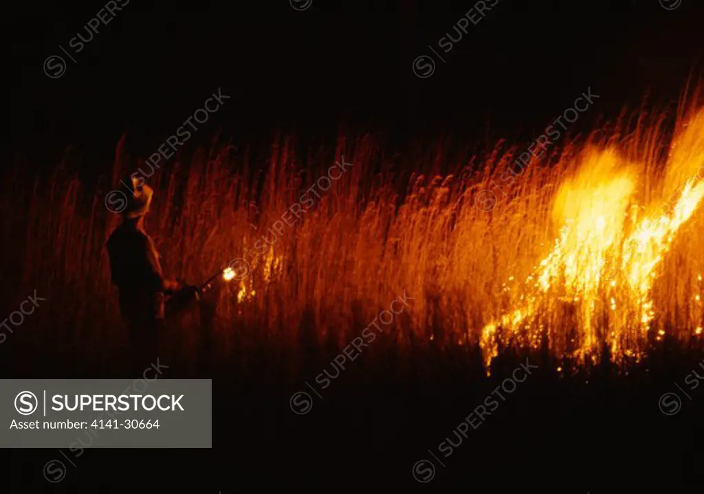 controlled burning guanacaste, costa rica, central america
