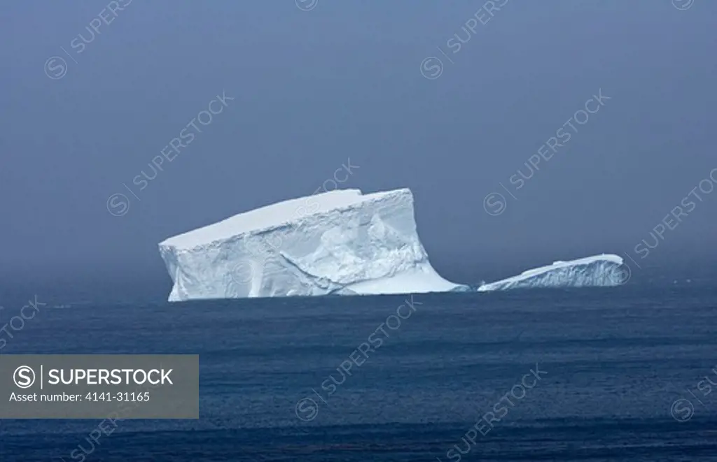 iceberg, south georgia