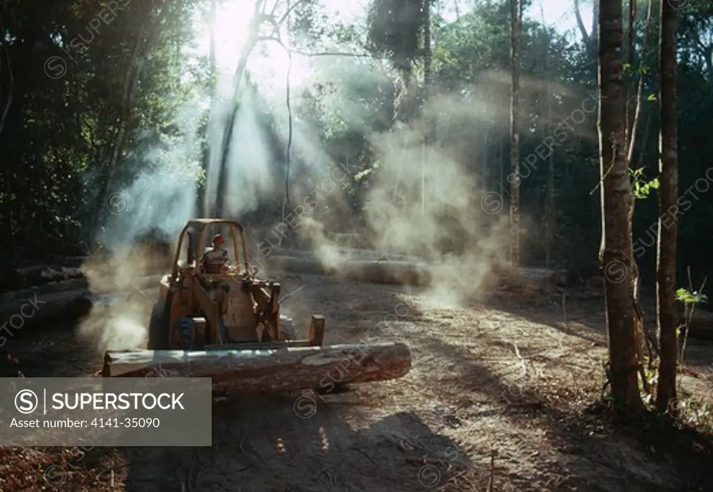loading hardwood in rainforest for transport after felling sinop, mato grosso, brazil 