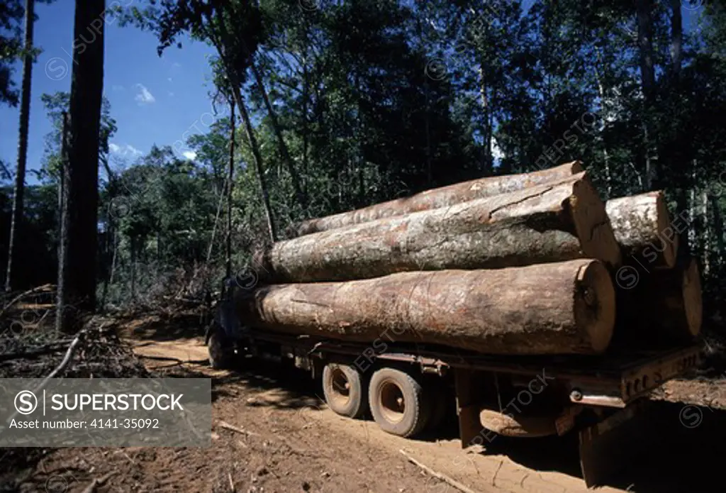 rainforest logging transportation of cut hardwood sinop, mato grosso, brazil 