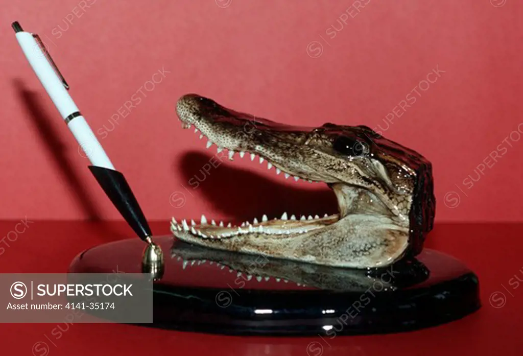 crocodile souvenir pen-holder confiscated by customs at munich airport, germany 1993 