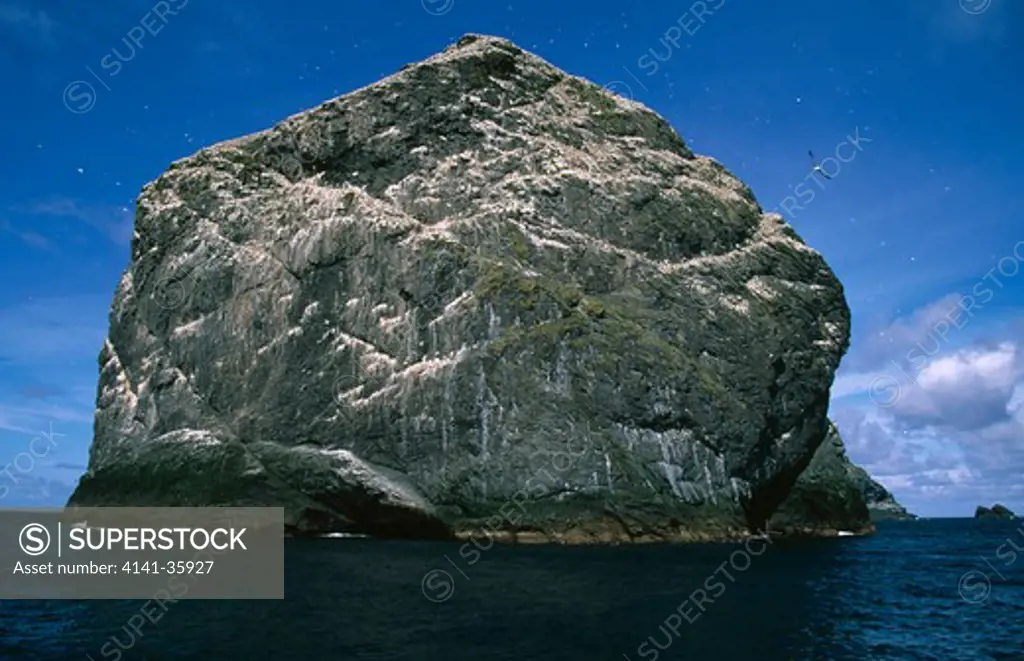 stac lee sea stack, st. kilda viewed from the south. june. scotland. sea stacks are created when waves erode through a thin headland