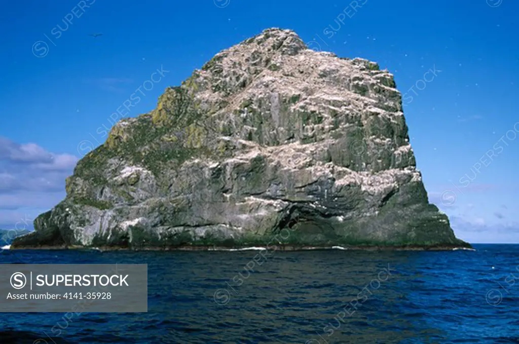 stac an armin gannet breeding rock, st. kilda. june. viewed from the east & showing gannet (sula bassana) breeding ledges