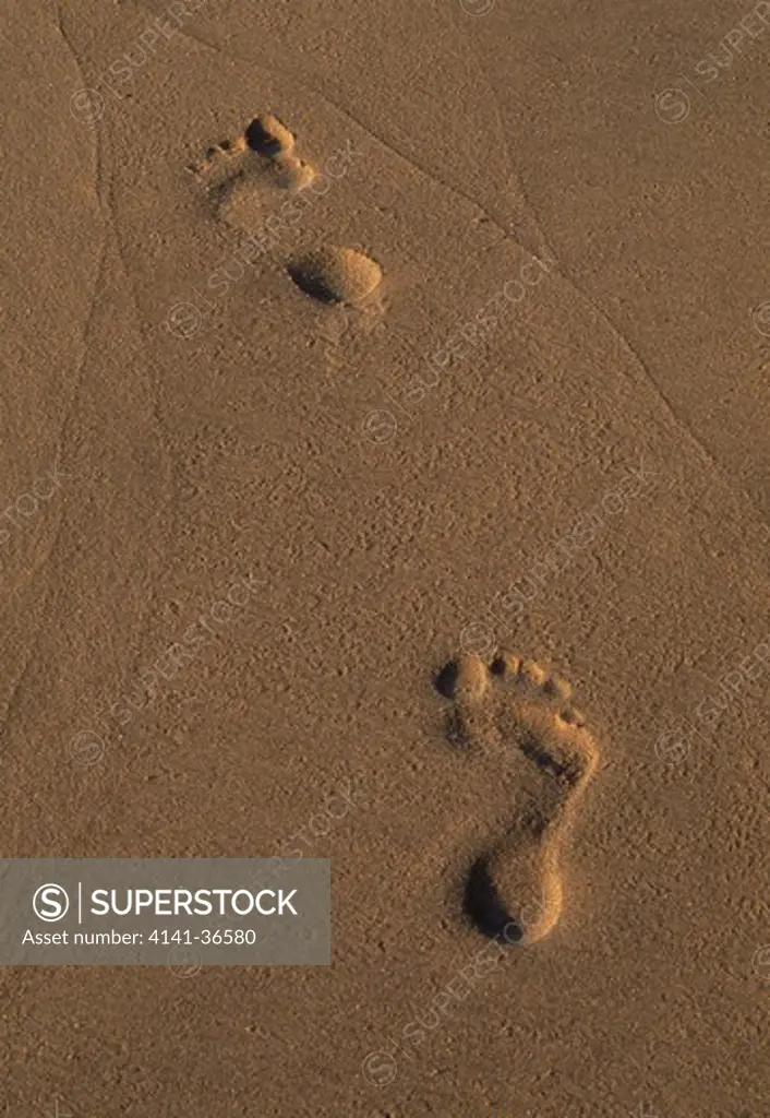 human footprints on beach 