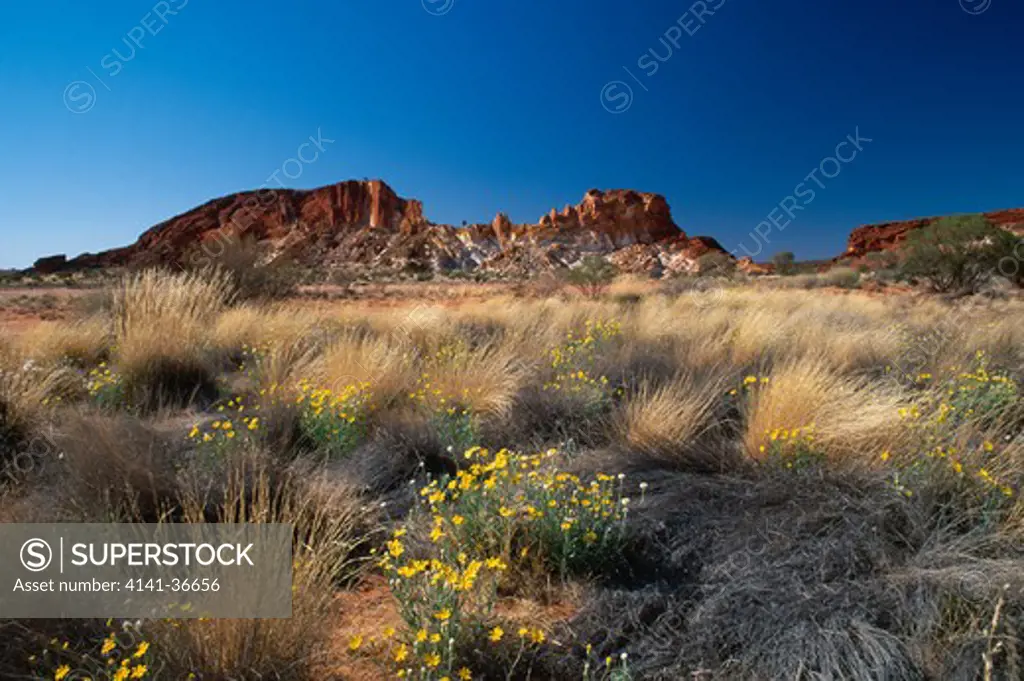 eroded sandstone & scrub rainbow valley nature park, near alice springs, northern territory, australia