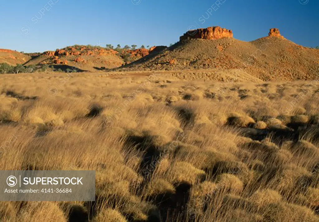 kimberley region western australia spinifex-covered range