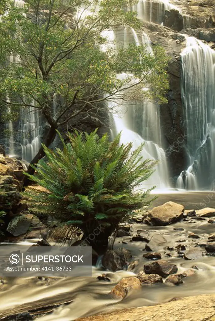 mckenzie falls grampian national park, victoria, australia