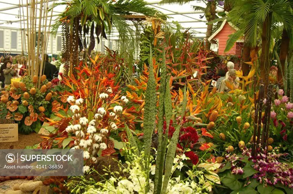 the horticultural society of trinidad & tobago's display of native plants and crops in the great pavillion, chelsea rhs flower show, london, england 2008 date: 22.10.2008 ref: zb1159_122662_0087 compulsory credit: photos horticultural/photoshot 