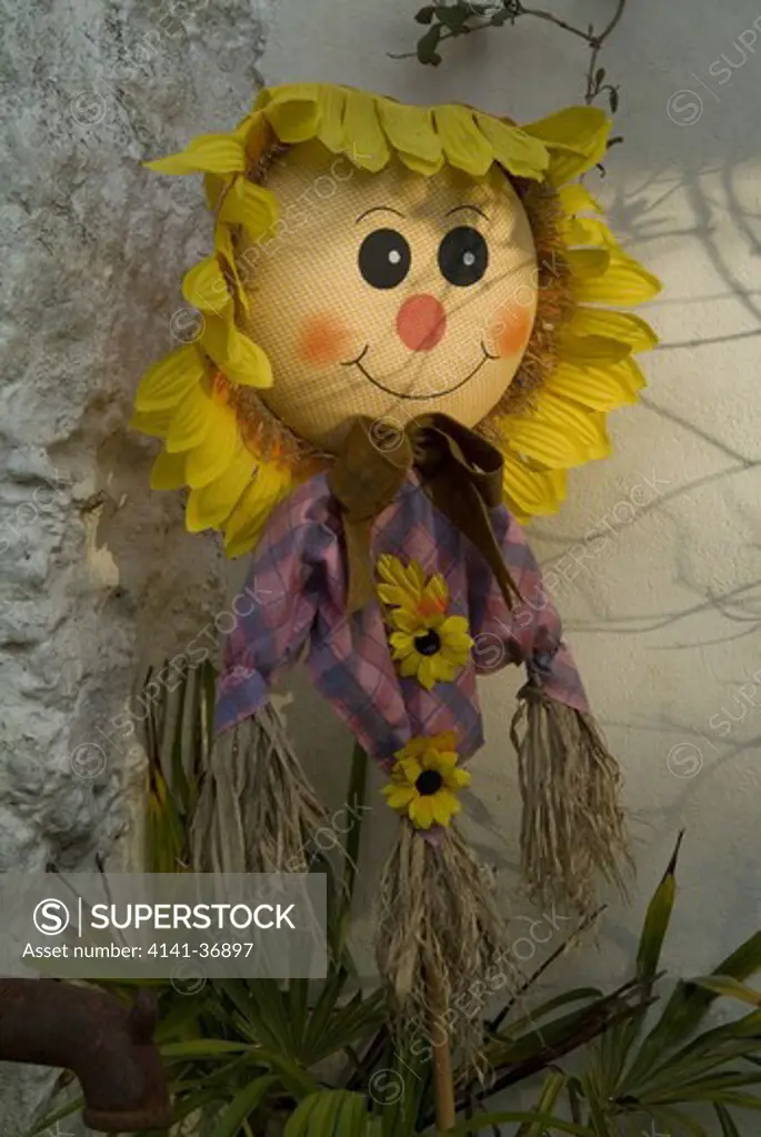 a children's sunflower-faced scarecrow in an ornamental walled garden. date: 10.10.2008 ref: zb117_121959_0001 compulsory credit: photos horticultural/photoshot 