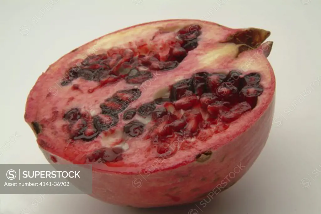 a pomegranate sliced in half exposing pulp covered seeds. its rind contains an astringent used in pharmacy, dyeing and tanning. date: 10.10.2008 ref: zb117_121959_0006 compulsory credit: photos horticultural/photoshot 
