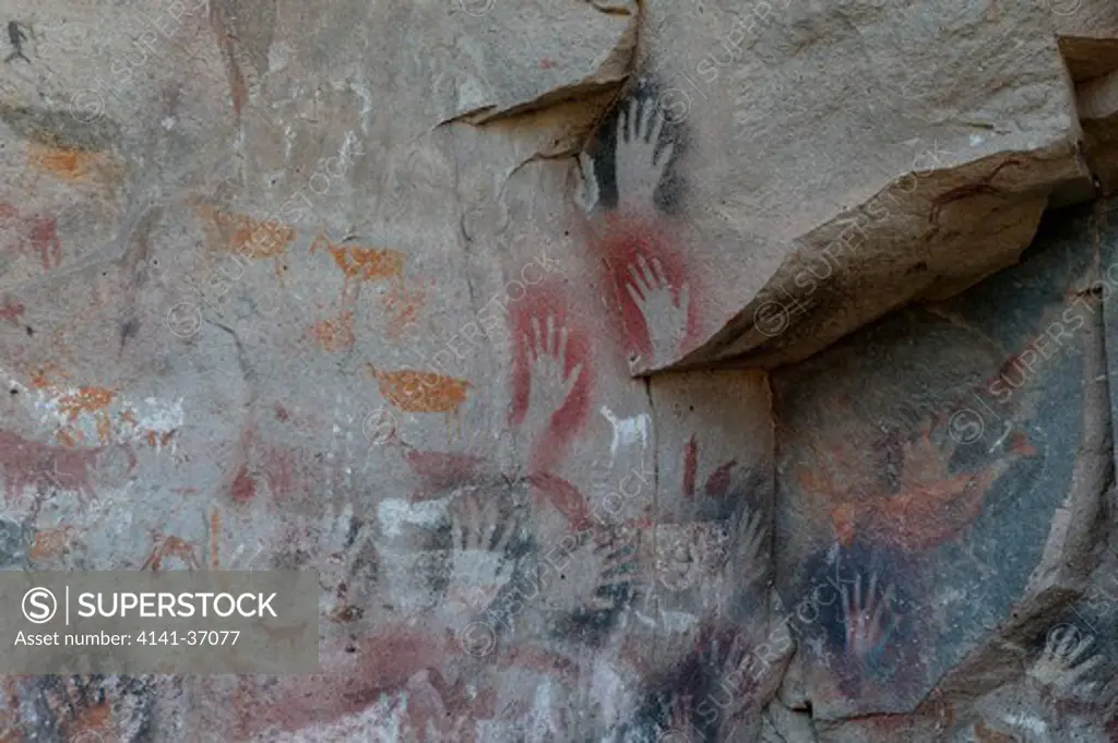 rock painting, argentina, patagonia, santa cruz province, rock painting of the cueva de los manos , unesco world heritage centre. date: 08.12.2008 ref: zb1237_125994_0038 compulsory credit: nhpa/photoshot